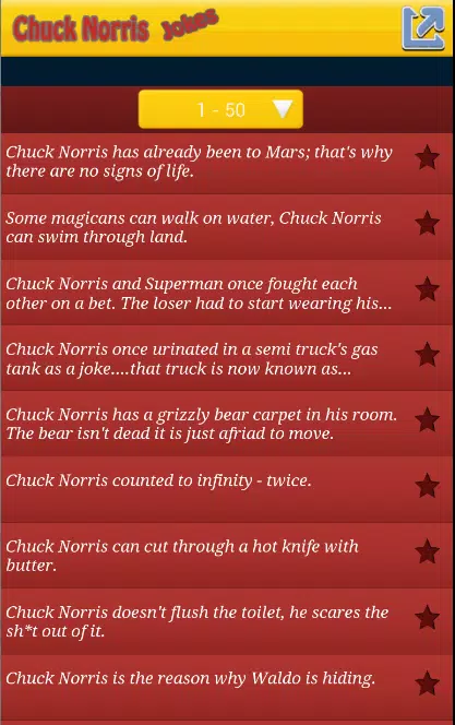 Chuck Norris Jokes Poster