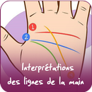 Lignes de la main APK