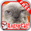Angry Cat Free!