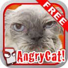 Angry Cat Free! icon