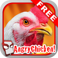 Angry Chicken Free!