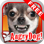 Angry Dog Free! 아이콘