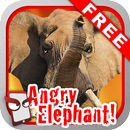Angry Elephant Free! APK