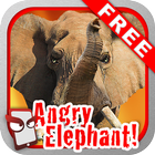 Angry Elephant Free! icône