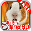 Angry Guinea Pig Free! APK