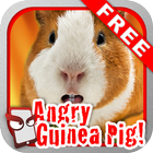 Angry Guinea Pig Free! icône