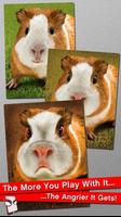 Angry Guinea Pig Free! Affiche