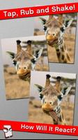 Angry Giraffe Free! capture d'écran 1