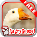 Angry Goose Free! APK