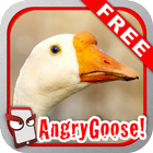 Icona Angry Goose Free!