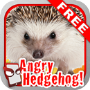 Angry Hedgehog Free! APK