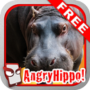 Angry Hippo Free! APK
