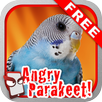 Angry Parakeet Free! APK