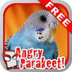 Angry Parakeet Free!