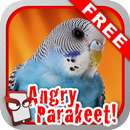 Angry Parakeet Free! APK
