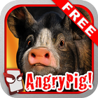 Angry Pig Free! icône
