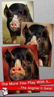 Angry Pig Free! Affiche