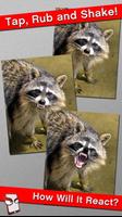 Angry Raccoon Free! capture d'écran 1