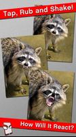 Angry Raccoon Free! 截圖 1