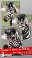 Angry Zebra Free! Affiche