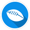 Rugby World Cup 2015 APK