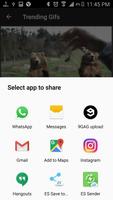 Funny Gifs  for Whatsapp screenshot 3