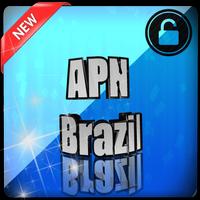 APN Brazil ポスター