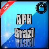 APN Brazil captura de pantalla 3