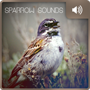 Sparrow Sounds Free MP3 APK