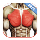 Best Chest Routine Workout APK
