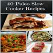 40+ Paleo Diet Recipes