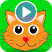 Funny Cat Videos For Whatsapps