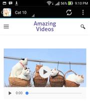 Funny Cat Videos For Whatsapps الملصق