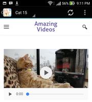 Funny Cat Videos For Whatsapps تصوير الشاشة 1