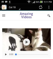 Funny Cat Videos For Whatsapps تصوير الشاشة 2