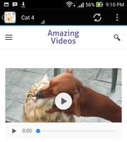 Funny Cat Videos For Whatsapps screenshot 3