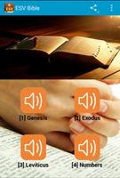 ESV Audio Bible Free. โปสเตอร์