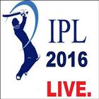 T20 IPL 2016 Matches icône