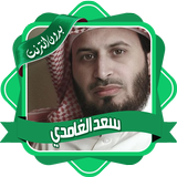 سعد الغامدي قرآن كريم بدون نت icon