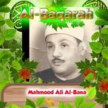 Al Baqarah Mahmood Ali Al-Bana