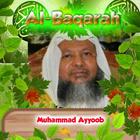 Al Baqarah By Muhammad Ayyoob أيقونة