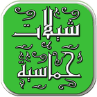 شيلات حماسية سعودية_بدون نت icône