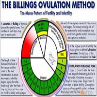 Ovulation Calculator poster