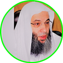 Mohamed Hassan Full Quran Offline APK