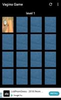 Vagina Game Screenshot 1
