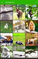 Animals A-Z Wallpapers HD captura de pantalla 3