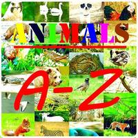 Animals A-Z Wallpapers HD Affiche