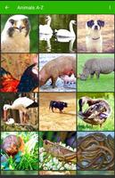 Animals A-Z Wallpapers HD captura de pantalla 2