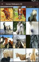 Horses Wallpapers HD syot layar 3