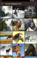 Horses Wallpapers HD captura de pantalla 1